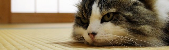 ペット用畳