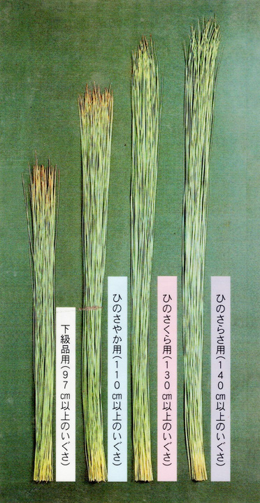 金子畳店｜良い畳とはの画像